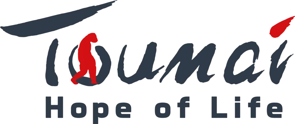 toumai logo kolor